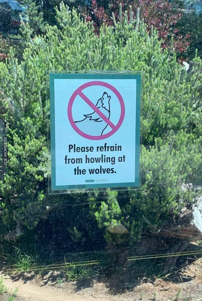 please refrain from howling at wolves