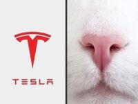 Wiecie już, skąd Tesla zapożyczyła swoje logo