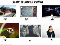 Jak mówić po polsku - poradnik dla obcokrajowców