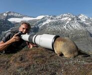 Trudy w pracy fotografa dzikiej przyrody