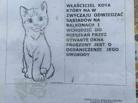 Szczeciński kot-włamywacz