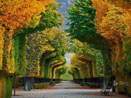 Ogród pałacu Schonbrunn w Wiedniu