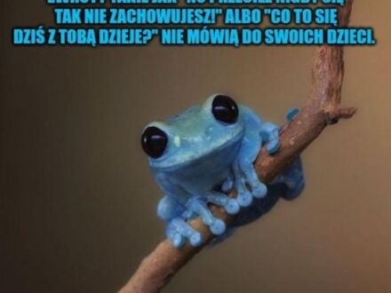 Fakt od niebieskiej żabci