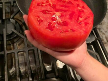 Kawał pomidora