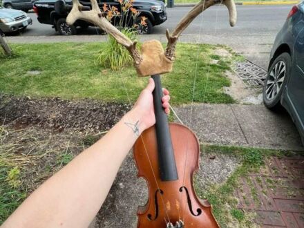 Naturalne skrzypce