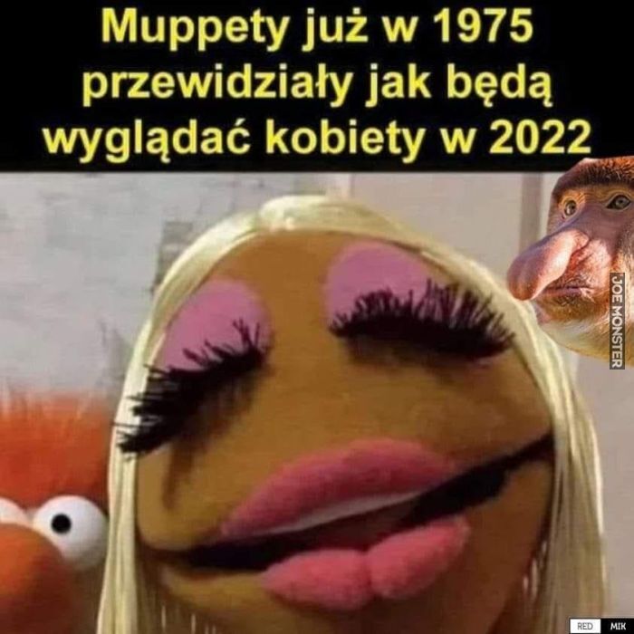 muppety już w 1975 przewidziały jak będą wyglądać kobiety