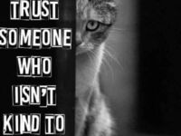Nie ufaj komuś, kto nie jest miły dla zwierząt