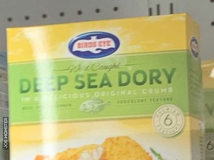 Znalazłem Dory