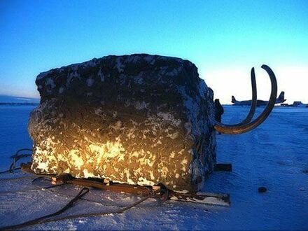 Mamut zamrożony w lodzie, czekający na odkrycie