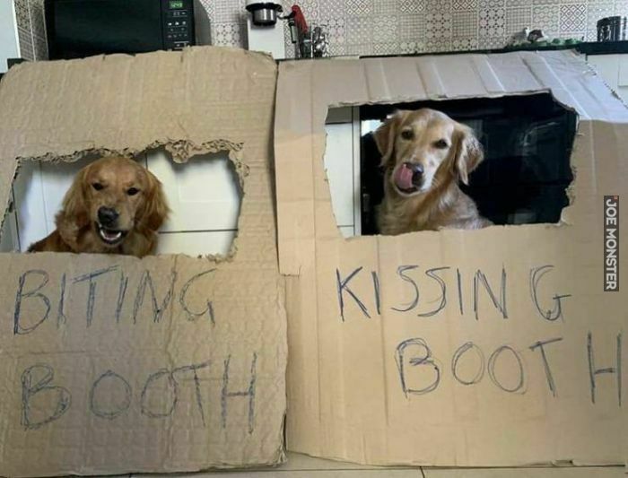 biting booth kissing booth