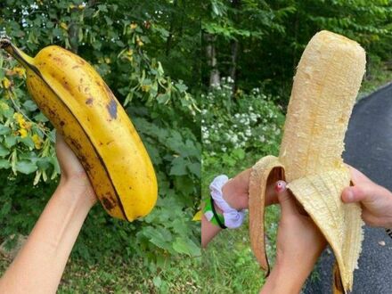 Potężny banan