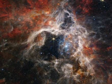 Mgławica Tarantula z konstelacji Złotej Ryby widziana "okiem" teleskopu Webba