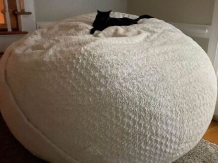 Nowe łóżko dla kotka