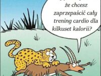 Gepard, no co ty robisz?