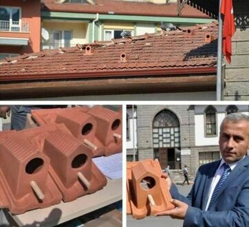 Fabryka w Turcji produkuje dachówki, które działają jak budki dla ptaków