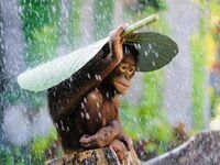 Maluch chroni się przed deszczem