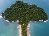 Park Narodowy Manuala Antonio na Kostaryce
