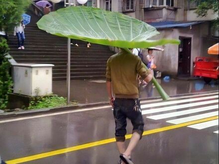 Ekologiczny parasol