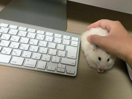 Moja myszka coś nie działa