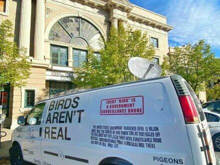 "Ptaki nie są prawdziwe, to podsłuchowe drony rządu"