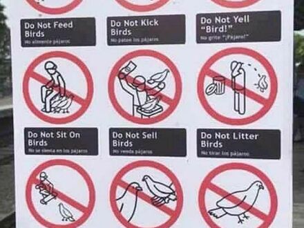 Zakazy przeciwko ptakom