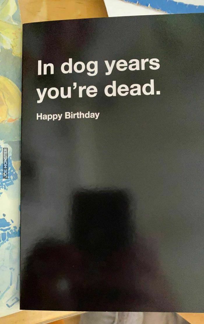 in dog years you're dead