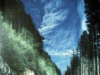 Erupcja wulkanu St. Helen w 1980 r.