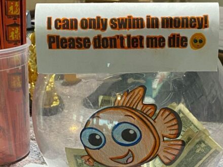 Nie daj rybce umrzeć
