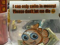 Nie daj rybce umrzeć