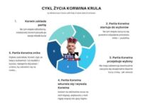 Cykl życia Janusza