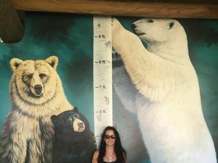 Jak duże są niedźwiedzie