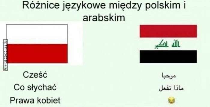 różnice językowe między polskim a arabskim