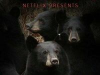 Netflixowska wersja Niedźwiedzia Polarnego