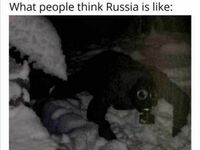 Jak ludzie myślą, że wygląda Rosja vs jak wygląda naprawdę