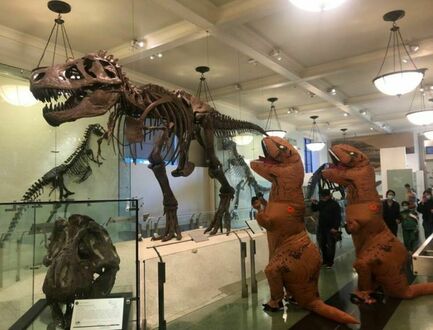 W muzeum dinozaurów: Bracie, co oni ci zrobili