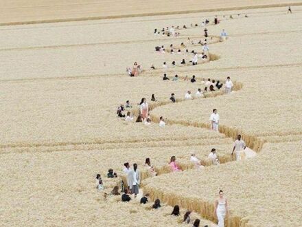 Pokaz mody na polu pszenicy z zachowaniem dystansu społecznego