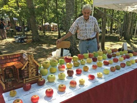 Tom Brown, emerytowany inżynier, ocalił około 1200 gatunków jabłek przed wyginięciem w ciągu 25 lat