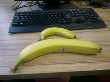 Wyjątkowo duży, albo wyjątkowy mały banan. Banan dla skali