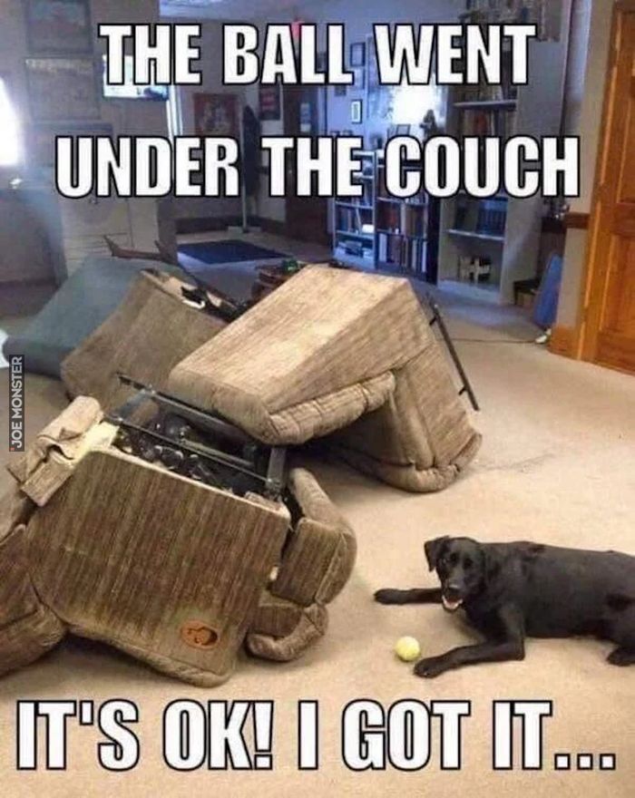the ball went under the couch