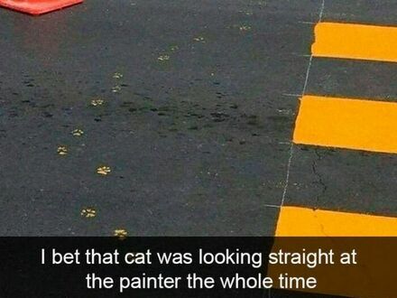 Założę się, że kot przez cały czas patrzył się malarzowi prosto w oczy