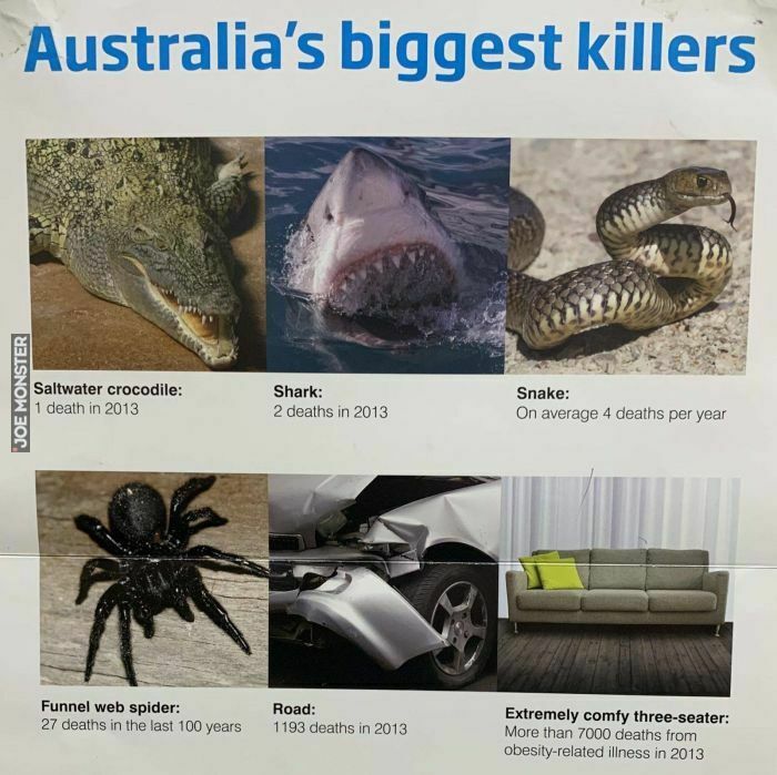 austalia's biggest killers