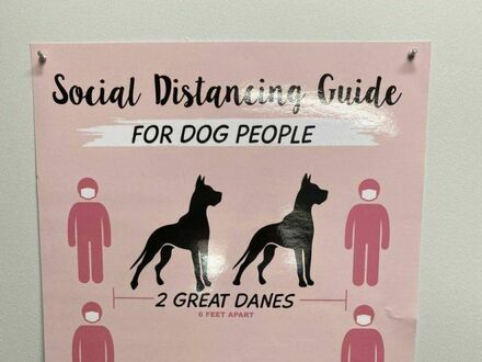 Dystans socjalny dla psiarzy