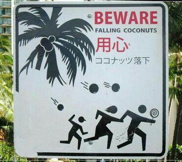 Uwaga na spadające kokosy