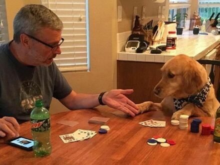 W pokera jest niepokonany