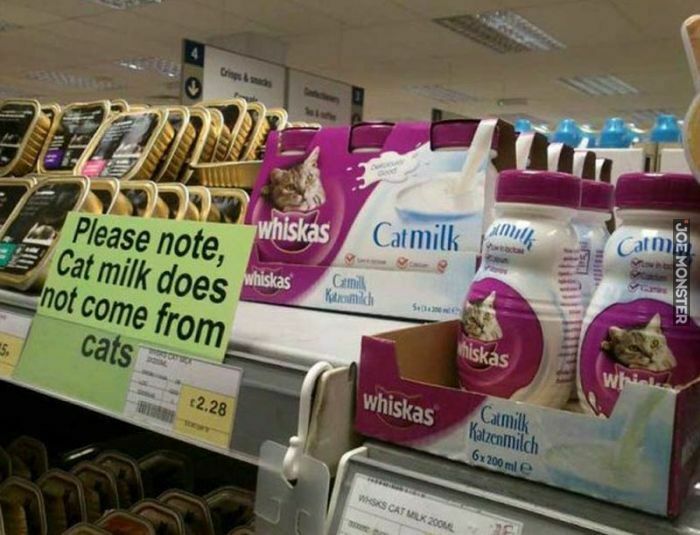 please note Cat milk does not