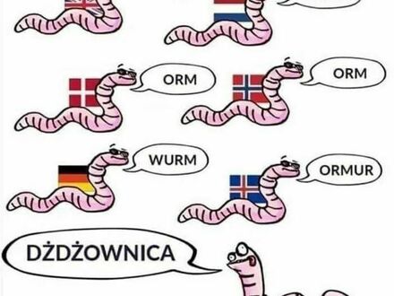 Polska język trudna język