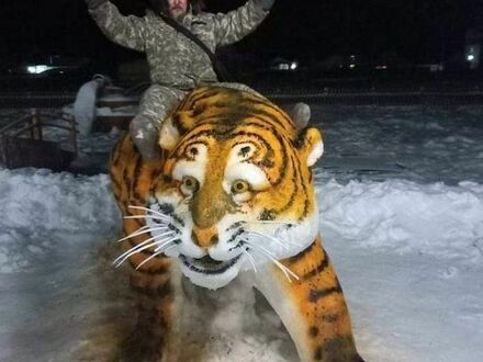 Rosyjski król tygrysów