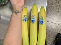 Spore banany