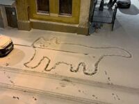 Sztuka w śniegu