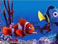 Dlaczego lepiej wiedzieć gdzie jest Nemo